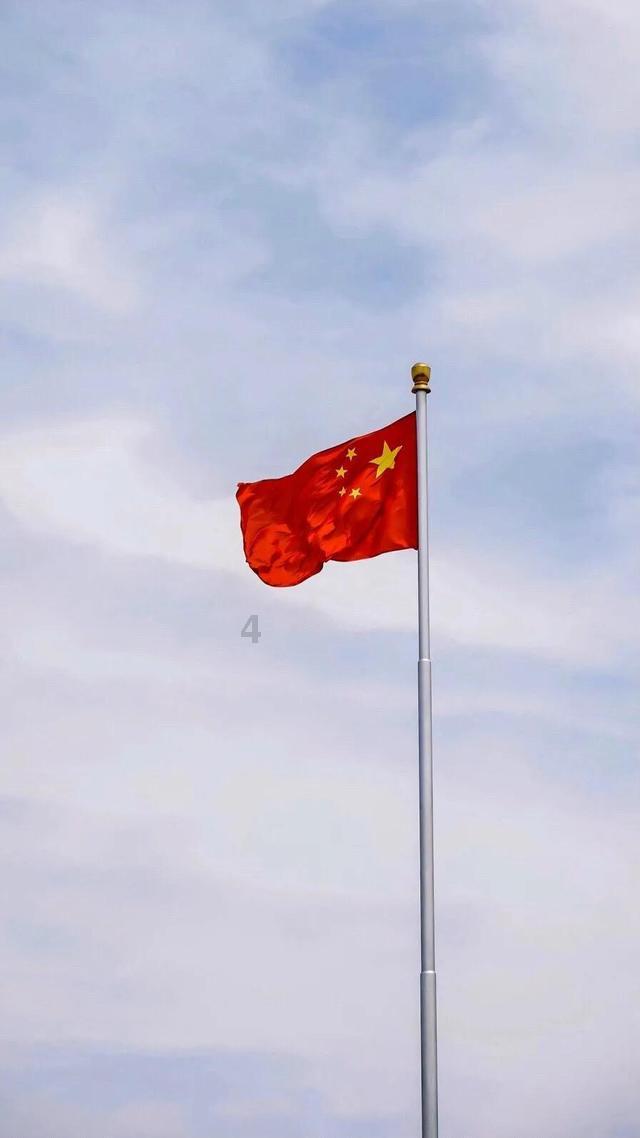 萌宠大连接